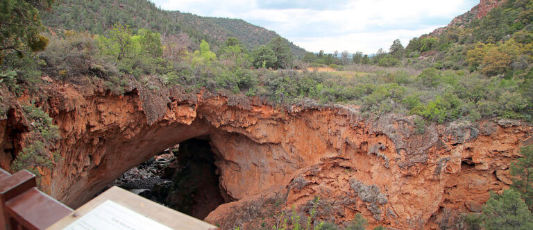 20220307095505 1 768x331