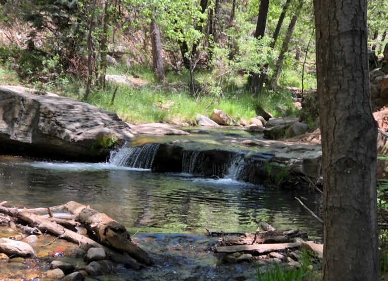 WEB HORTON CREEK IMG 6170 1 768x558