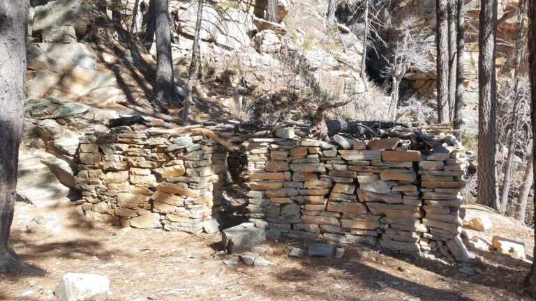 dbb5e1c3 6866 45f6 9186 ffb10cb4a1d1e49b24c337b6e922c6 20190124 132349 768x432