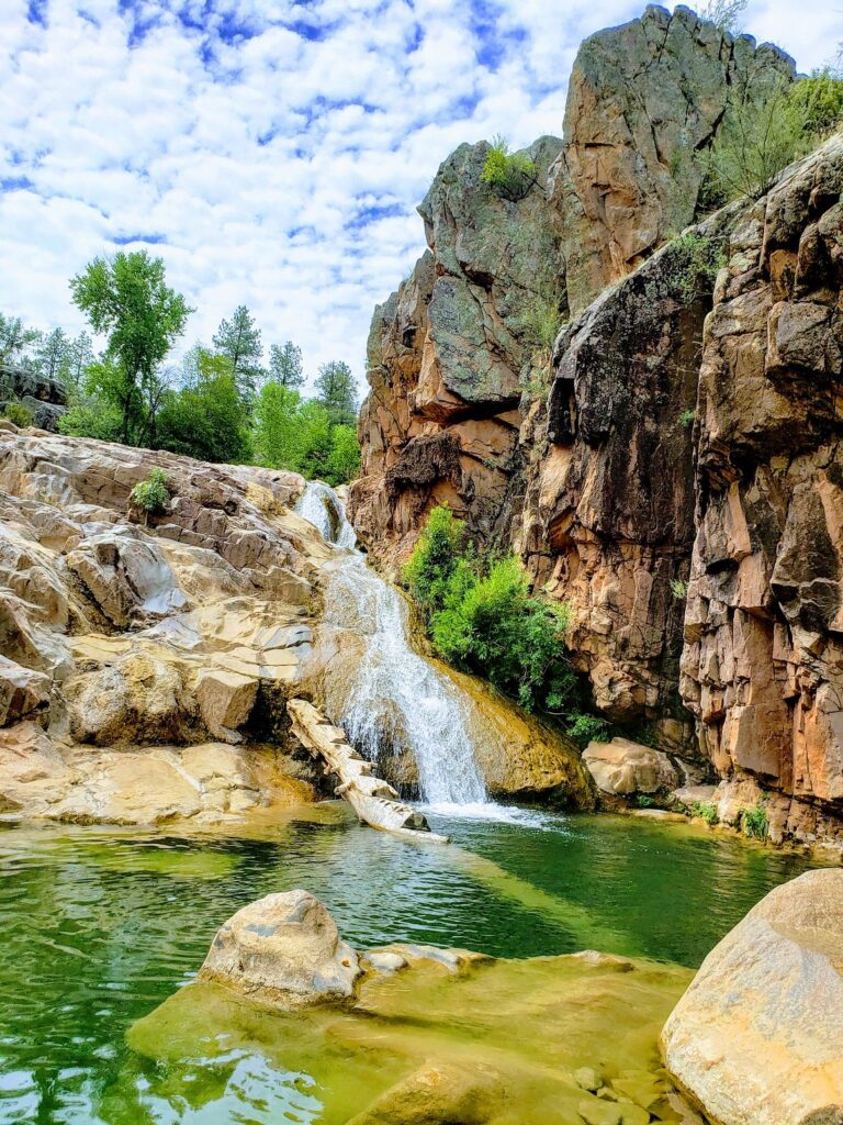 ellison creek waterfall 768x1024