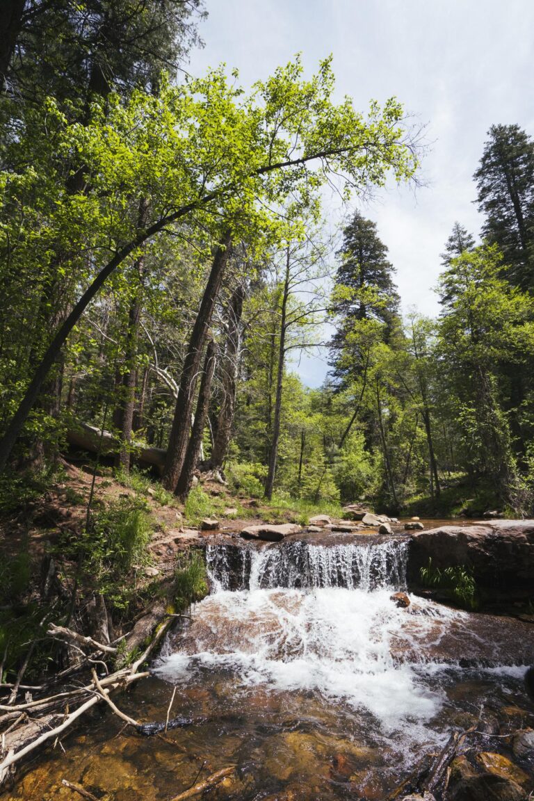 tghkie1xktx41 768x1152